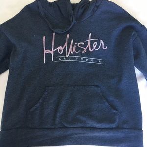 HOLLISTER PURPLE & PINK LOGO HOODIE